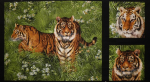 Tiger Panel